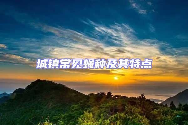 城鎮(zhèn)常見蠅種及其特點