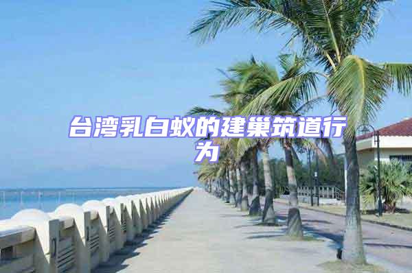 臺(tái)灣乳白蟻的建巢筑道行為