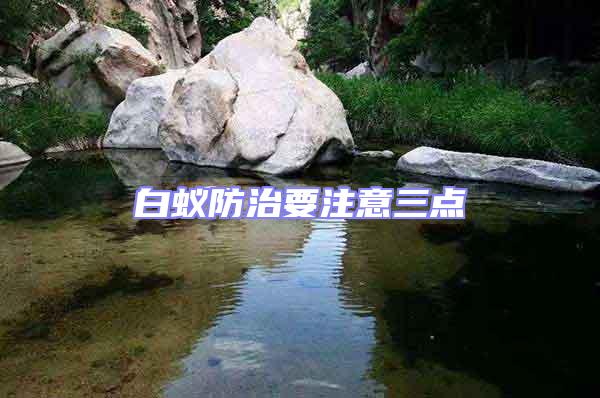 白蟻防治要注意三點