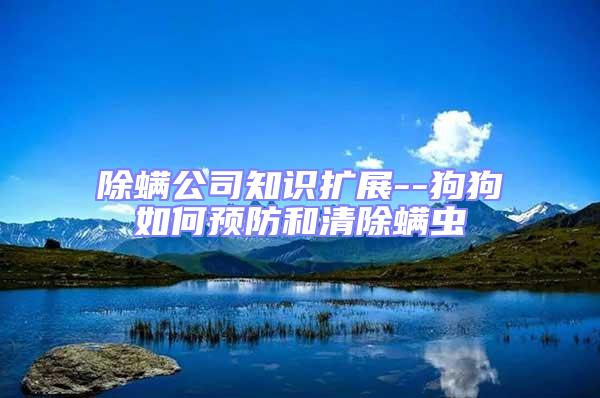 除螨公司知識擴展--狗狗如何預防和清除螨蟲