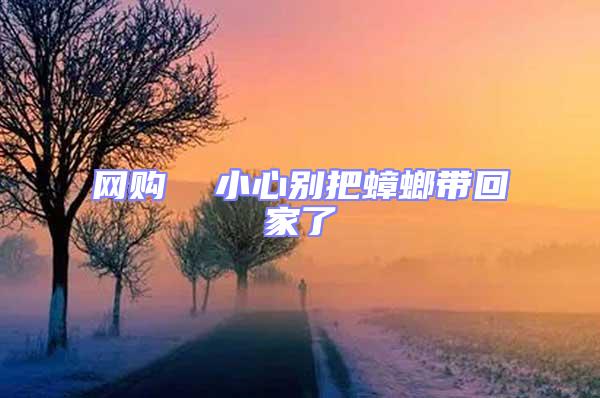網(wǎng)購(gòu)  小心別把蟑螂帶回家了