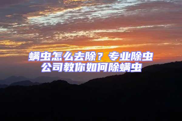 螨蟲怎么去除？專業除蟲公司教你如何除螨蟲