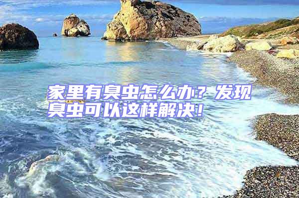 家里有臭蟲怎么辦？發(fā)現(xiàn)臭蟲可以這樣解決！