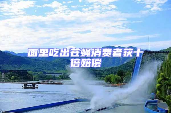 面里吃出蒼蠅消費(fèi)者獲十倍賠償