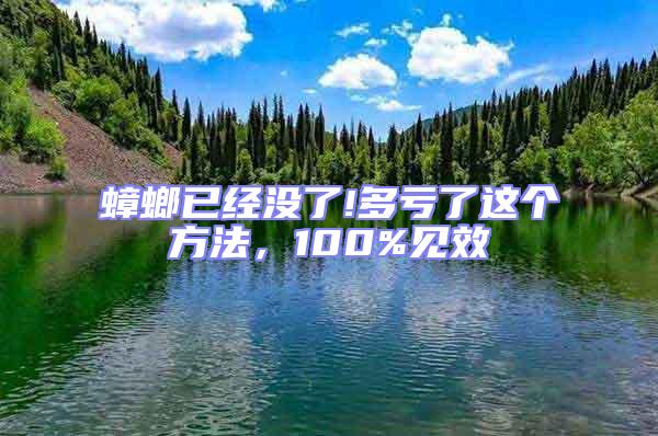 蟑螂已經沒了!多虧了這個方法，100%見效