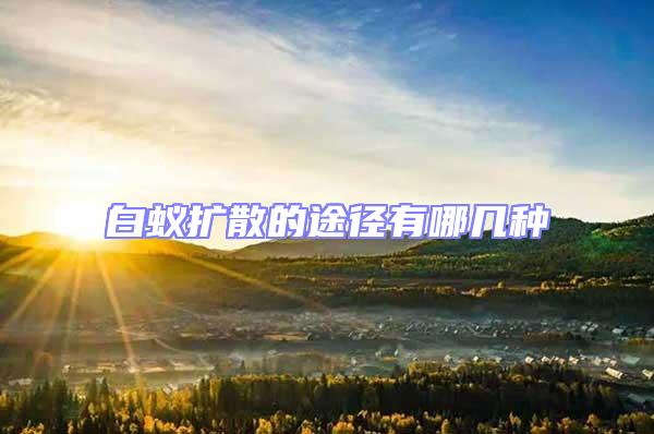 白蟻擴散的途徑有哪幾種