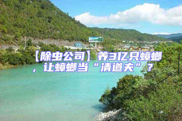 【除蟲公司】養3億只蟑螂，讓蟑螂當“清道夫”？
