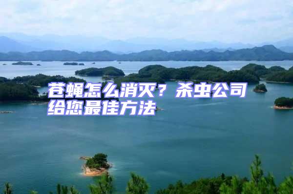 蒼蠅怎么消滅？殺蟲(chóng)公司給您最佳方法