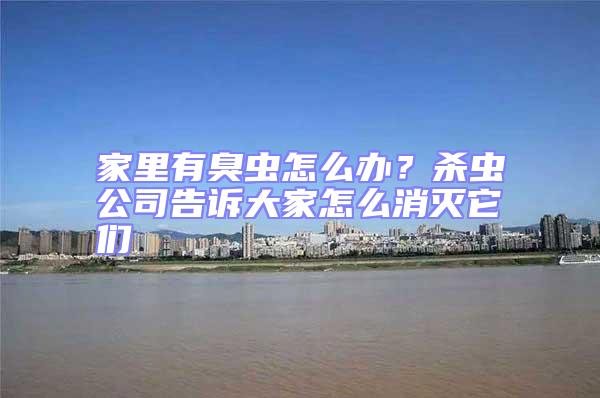 家里有臭蟲(chóng)怎么辦？殺蟲(chóng)公司告訴大家怎么消滅它們