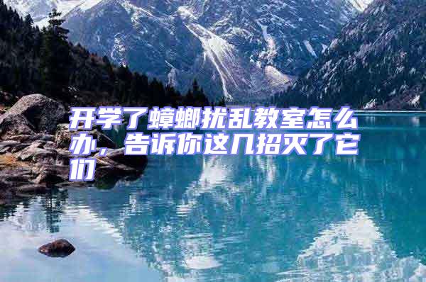 開(kāi)學(xué)了蟑螂擾亂教室怎么辦，告訴你這幾招滅了它們