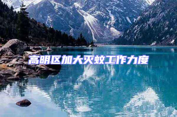 高明區(qū)加大滅蚊工作力度