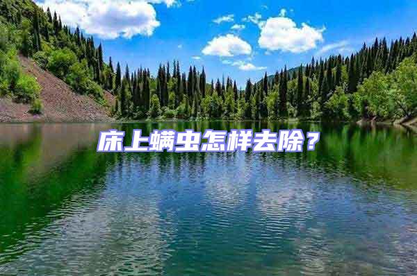 床上螨蟲怎樣去除？