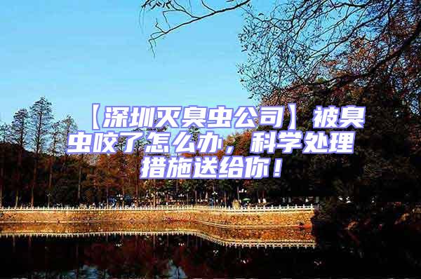 【深圳滅臭蟲(chóng)公司】被臭蟲(chóng)咬了怎么辦，科學(xué)處理措施送給你！