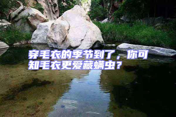 穿毛衣的季節到了，你可知毛衣更愛藏螨蟲？