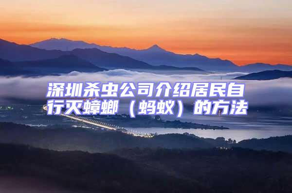 深圳殺蟲公司介紹居民自行滅蟑螂（螞蟻）的方法