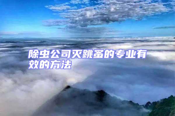 除蟲公司滅跳蚤的專業有效的方法