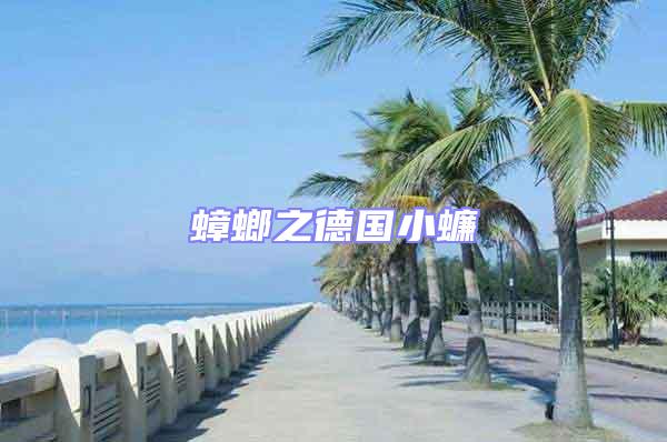 蟑螂之德國小蠊