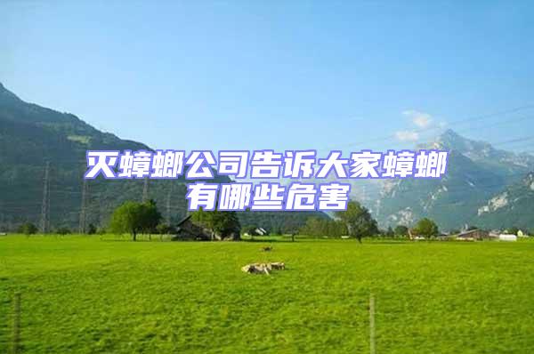 滅蟑螂公司告訴大家蟑螂有哪些危害