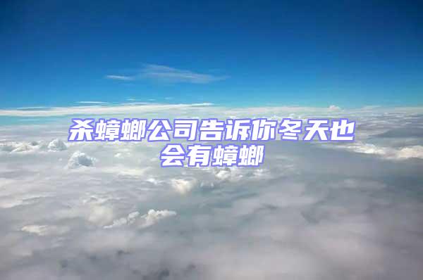 殺蟑螂公司告訴你冬天也會(huì)有蟑螂