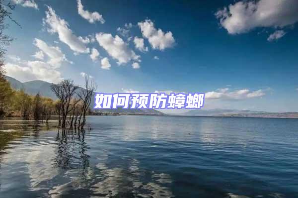 如何預防蟑螂