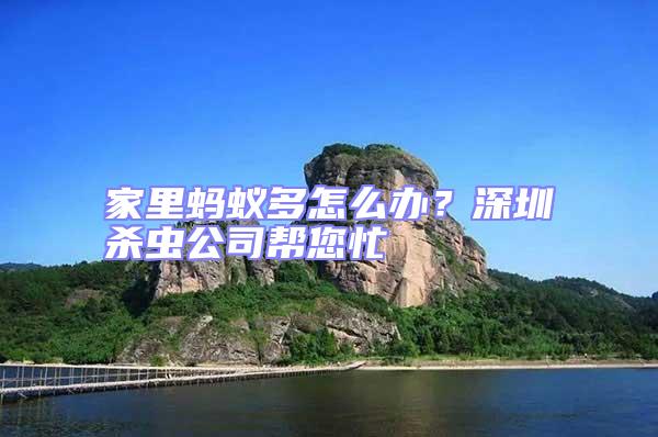 家里螞蟻多怎么辦？深圳殺蟲(chóng)公司幫您忙