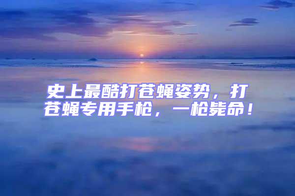 史上最酷打蒼蠅姿勢(shì)，打蒼蠅專用手槍，一槍斃命！