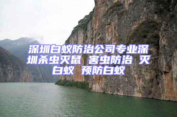 深圳白蟻防治公司專業深圳殺蟲滅鼠 害蟲防治 滅白蟻 預防白蟻