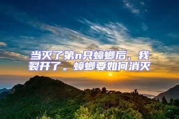 當滅了第n只蟑螂后，我裂開了。蟑螂要如何消滅