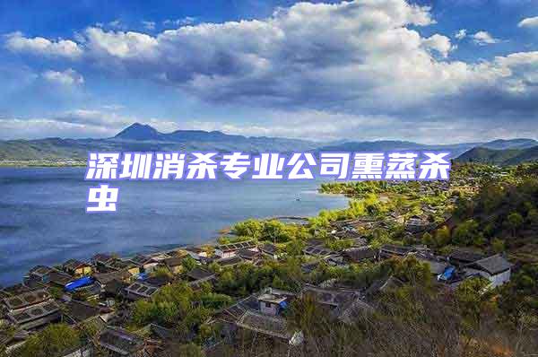 深圳消殺專業公司熏蒸殺蟲