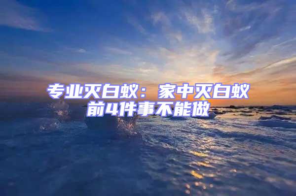 專業滅白蟻：家中滅白蟻前4件事不能做