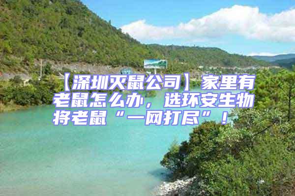 【深圳滅鼠公司】家里有老鼠怎么辦，選環安生物將老鼠“一網打盡”！