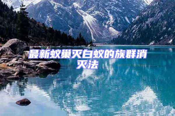 最新蟻巢滅白蟻的族群消滅法