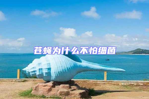 蒼蠅為什么不怕細菌