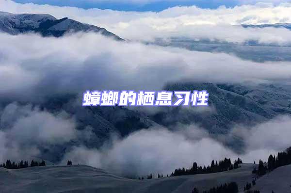 蟑螂的棲息習性