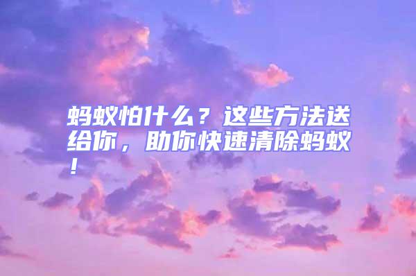 螞蟻怕什么？這些方法送給你，助你快速清除螞蟻！