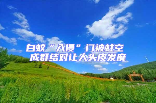 白蟻“入侵”門被蛀空 成群結(jié)對讓人頭皮發(fā)麻