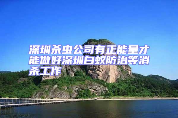 深圳殺蟲(chóng)公司有正能量才能做好深圳白蟻防治等消殺工作
