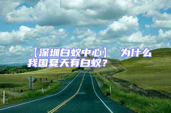 【深圳白蟻中心】 為什么我國(guó)夏天有白蟻？