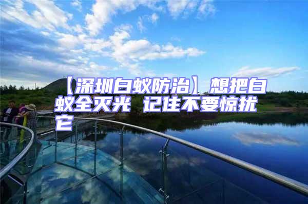 【深圳白蟻防治】想把白蟻全滅光 記住不要驚擾它