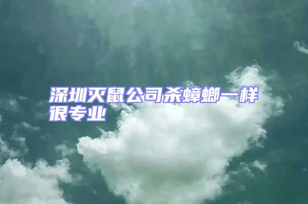 深圳滅鼠公司殺蟑螂一樣很專業