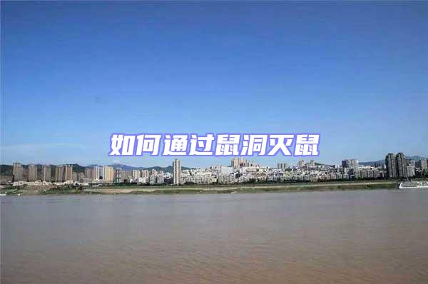 如何通過鼠洞滅鼠