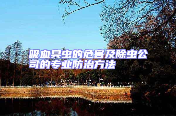 吸血臭蟲的危害及除蟲公司的專業(yè)防治方法