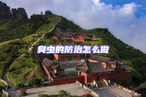 臭蟲的防治怎么做