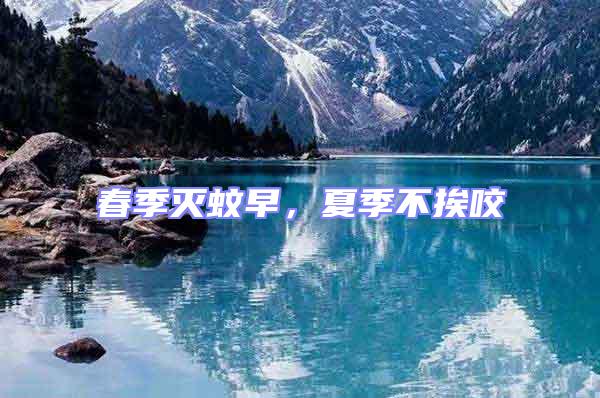 春季滅蚊早，夏季不挨咬