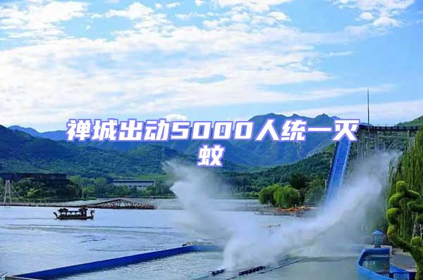 禪城出動5000人統(tǒng)一滅蚊