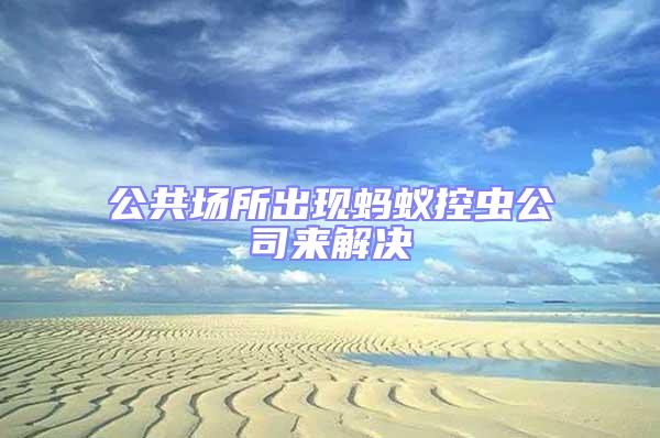 公共場(chǎng)所出現(xiàn)螞蟻控蟲(chóng)公司來(lái)解決