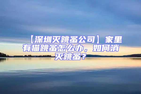 【深圳滅跳蚤公司】家里有貓跳蚤怎么辦，如何消滅跳蚤？