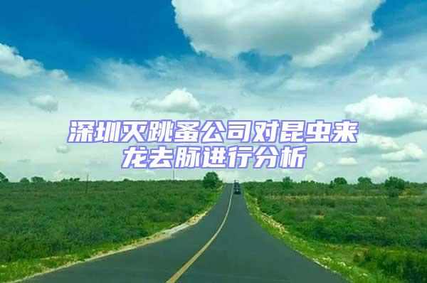 深圳滅跳蚤公司對昆蟲來龍去脈進行分析