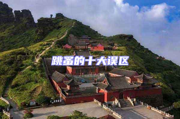 跳蚤的十大誤區