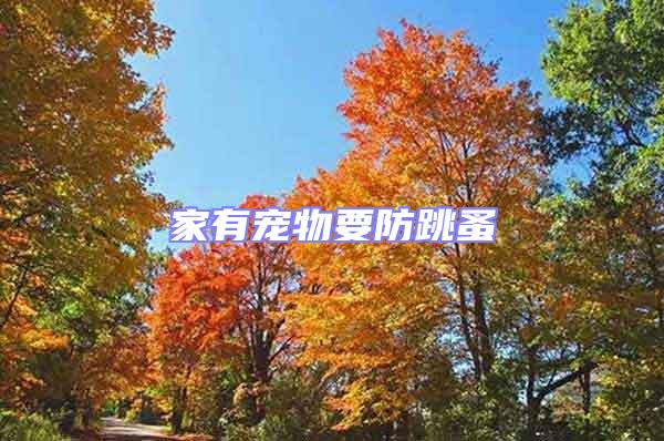 家有寵物要防跳蚤